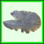 harjag_709_a_001