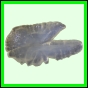 harjag_712_a_001
