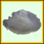 lagrho_1814_b_002