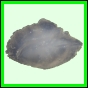 lagrho_6_b_002
