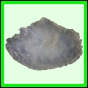 lagrho_7_a_006