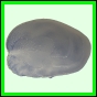 larfas_1890_b_001