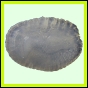 larfas_977_b_002