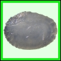 larfas_978_a_002