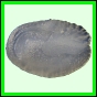 larfas_979_a_001
