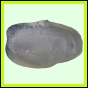 larfas_980_a_001