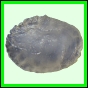 larfas_983_b_002