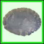 larfas_985_b_002