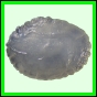 larfas_987_a_002