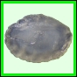 larfas_988_a_002