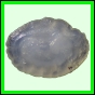 larfas_988_b_003