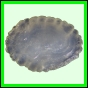 larfas_989_b_003