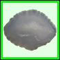 leixan_1626_b_002
