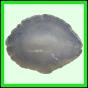leixan_1630_b_001