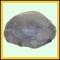 leixan_758_r_002