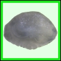 leixan_761_r_002