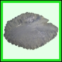 lutcam_1397_a_002