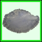 lutcam_1401_b_001