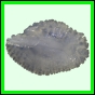 lutcam_1406_a_002