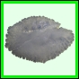 lutcam_1407_a_002