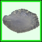 lutcam_1408_b_002