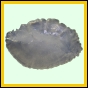 lutcam_1418_a_002