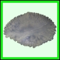 lutcam_1419_a_002