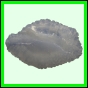 lutcam_1831_b_001