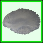 lutcam_1854_b_001