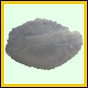 lutcam_2103_a_001