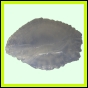 lutcam_2104_a_001