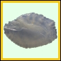 lutcam_2104_b_001