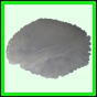 lutcam_2106_a_001