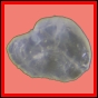 lutgri_109_a_002
