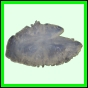 lutgri_111_a_047