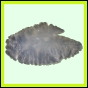 lutgri_118_a_006