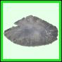 lutgri_1226_a_002