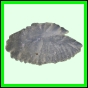 lutgri_1227_a_001