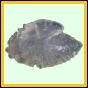 lutgri_1231_a_002