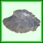 lutgri_128_b_002