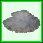 lutgri_133_a_002