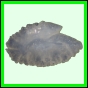 lutgri_133_b_003