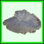 lutgri_137_b_001