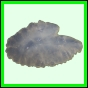 lutgri_138_b_002