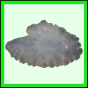 lutgri_140_a_003