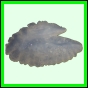 lutgri_140_b_002