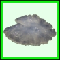 lutgri_141_a_003