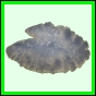 lutgri_142_b_003