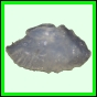 lutgri_144_a_002
