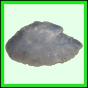 lutgri_144_b_001